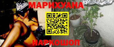 прущие крисы Кимры