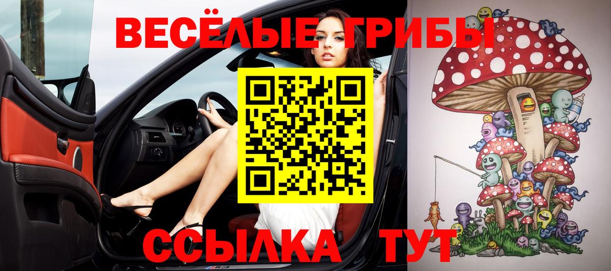 Псилоцибиновые грибы Cubensis Котельники