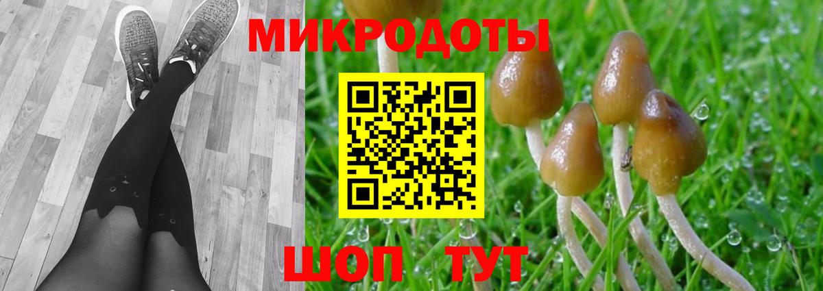 Псилоцибиновые грибы Psilocybe  Галлюциногенные грибы Psilocybe  купить закладку  Котельники  Вход с VPN 